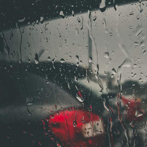 Photo #7710794