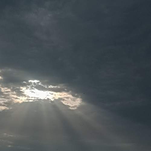 Photo #7710980