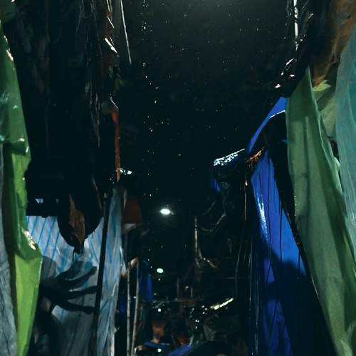 Photo #7711152