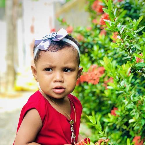 Photo #7711843
