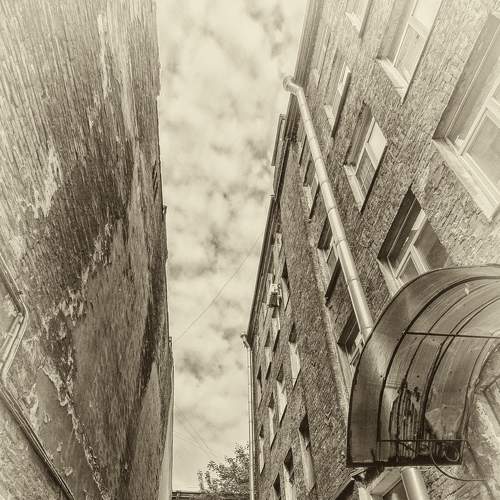 Photo #7712002