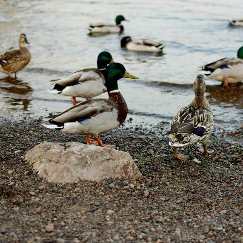 Photo #7712195