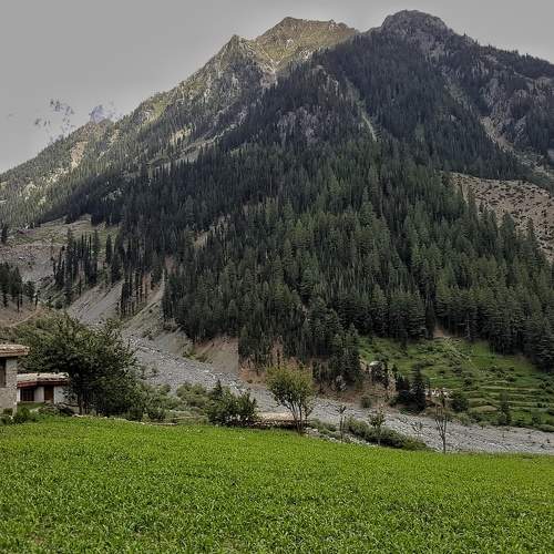 Photo #7712243