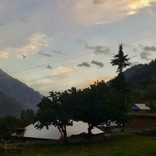 Photo #7712262