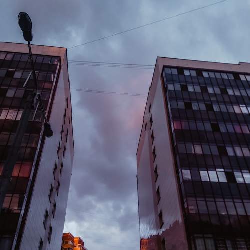 Photo #7712601