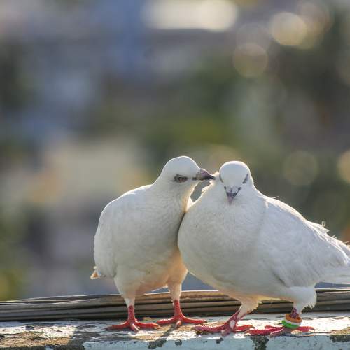 Photo #7712809
