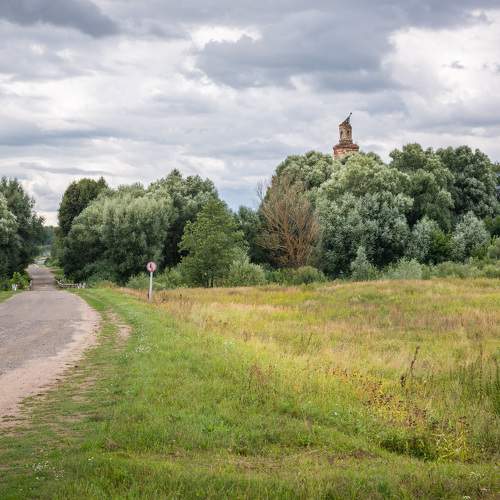 Photo #7713144