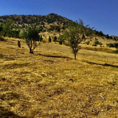 Photo #7713586