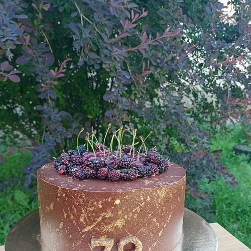Photo #7713751