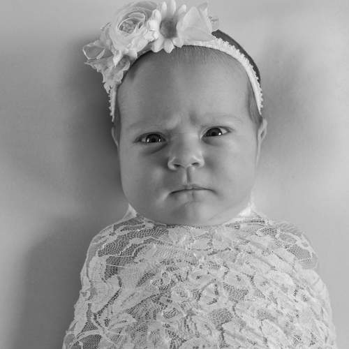 Photo #7713933