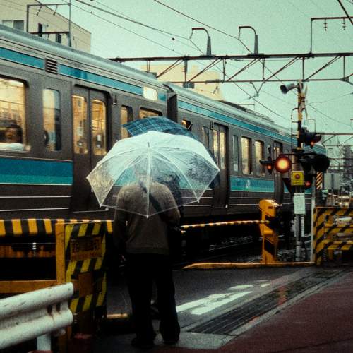 Photo #7714138