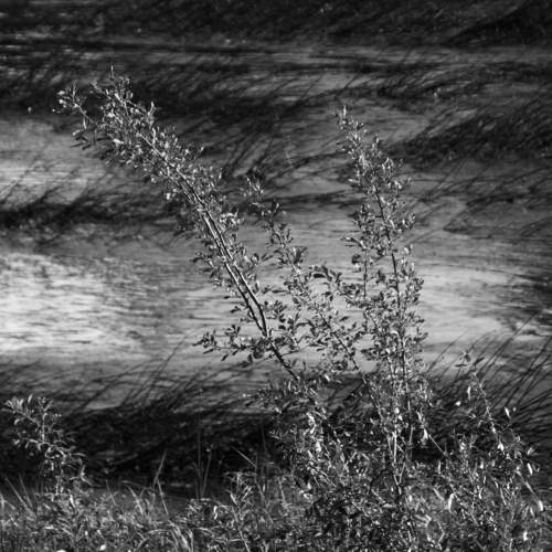 Photo #7714645