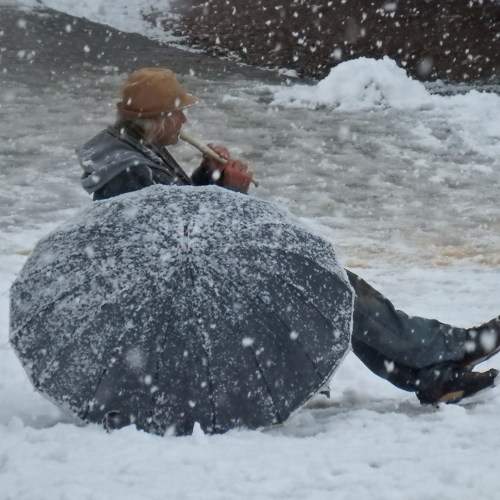 Photo #7715020
