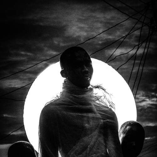 Photo #7715758