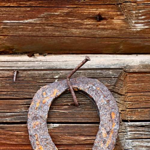 Фотография #7715928