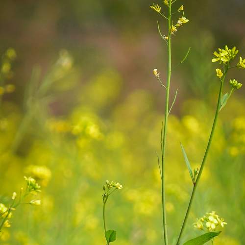 Photo #7715929