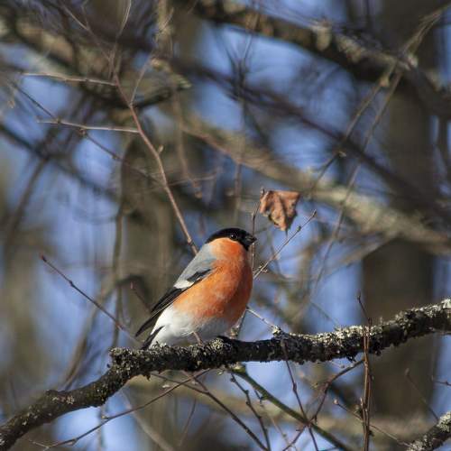 Photo #7715943