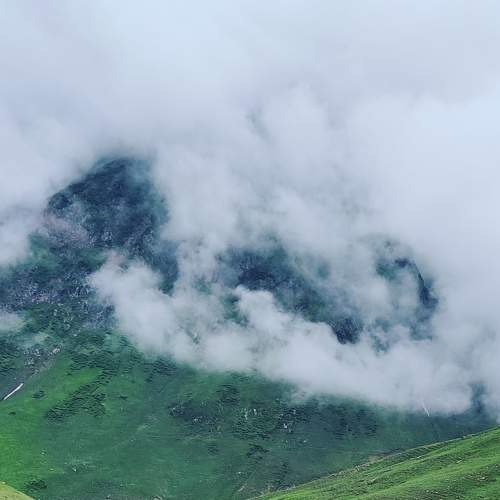 Photo #7716231