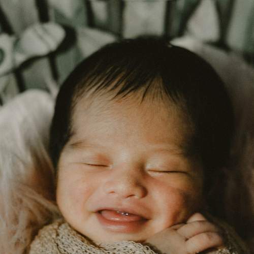 Photo #7716546