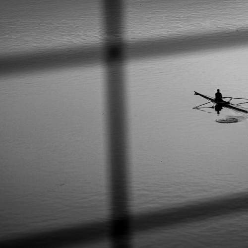 Photo #7716585