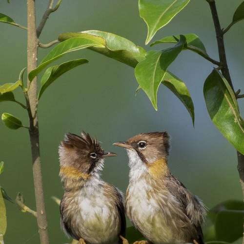 Lovely couple.