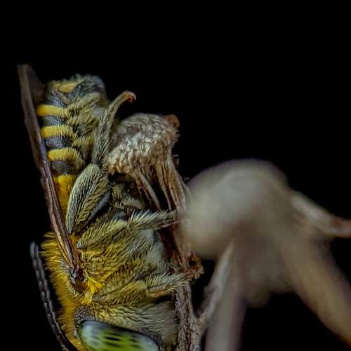 Photo #7717141