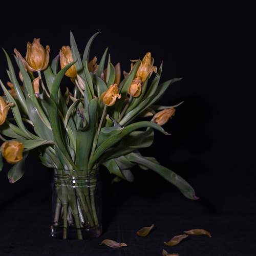 Photo #7717498