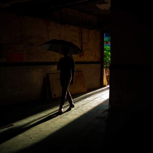 Monsoon Light