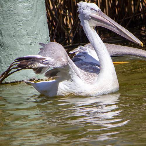 Photo #7717850