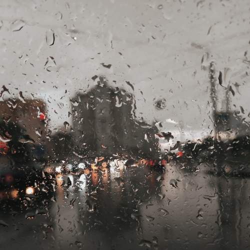Photo #7717873