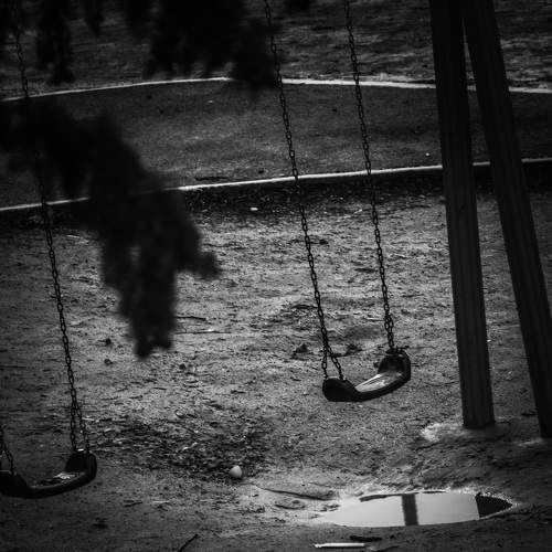 Photo #7717877