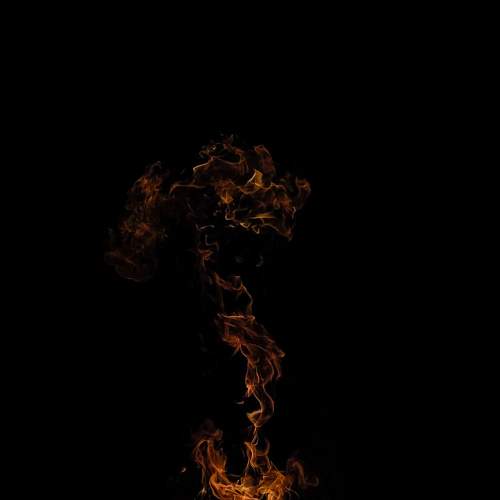 Photo #7718037