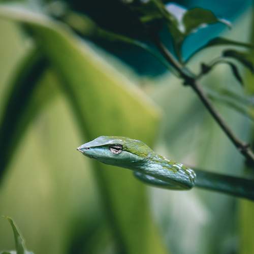 Photo #7718197