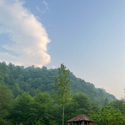 Photo #7718548