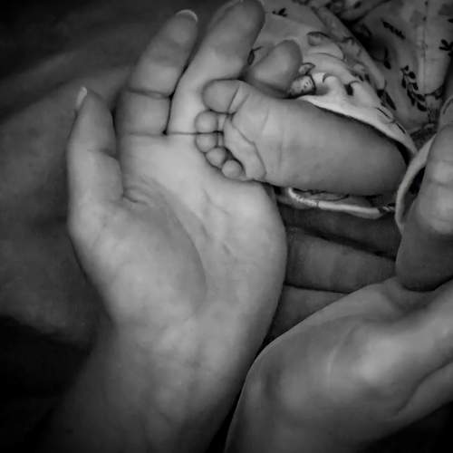 Photo #7718843
