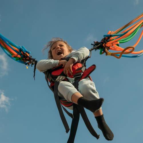 Photo #7718984