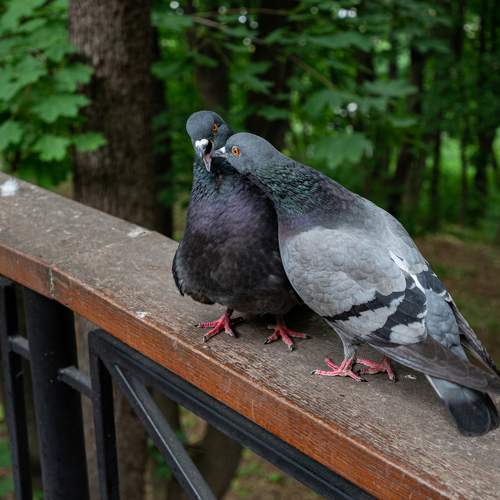 Photo #7719350