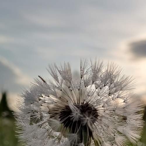 Photo #7719446