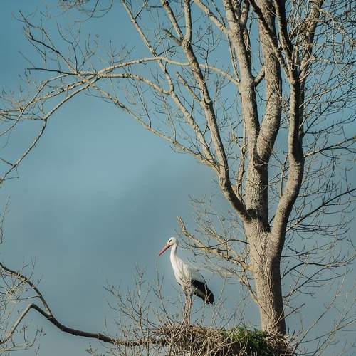 Photo #7719457