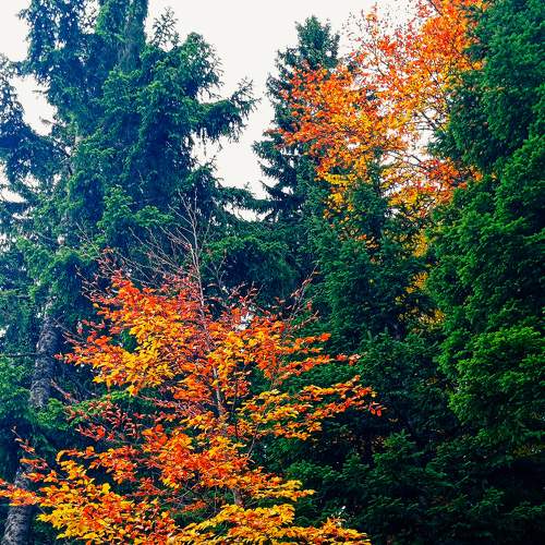 Photo #7719611