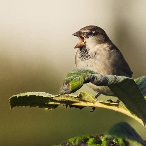 Photo #7719894