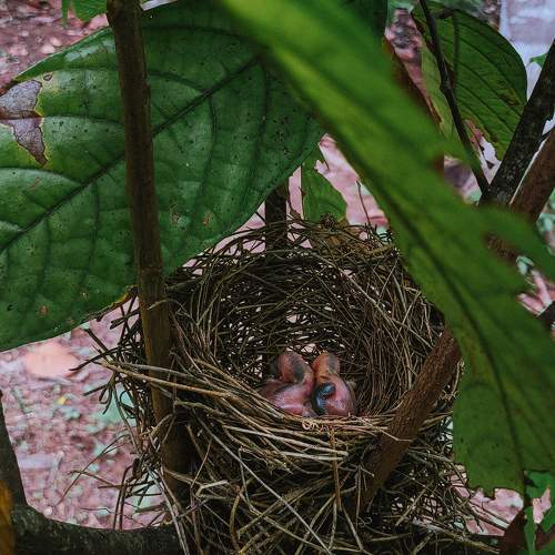 Photo #7720224