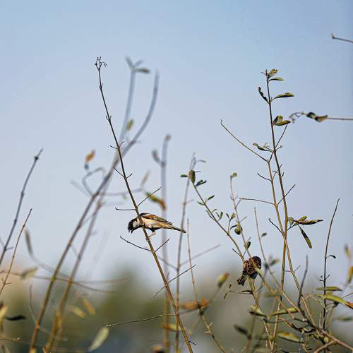 Photo #7720294