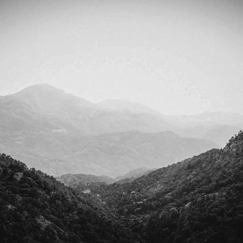 Photo #7720412