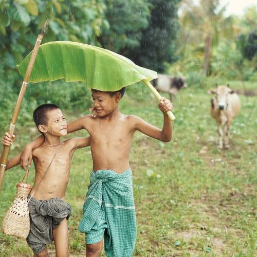 Photo #7720459