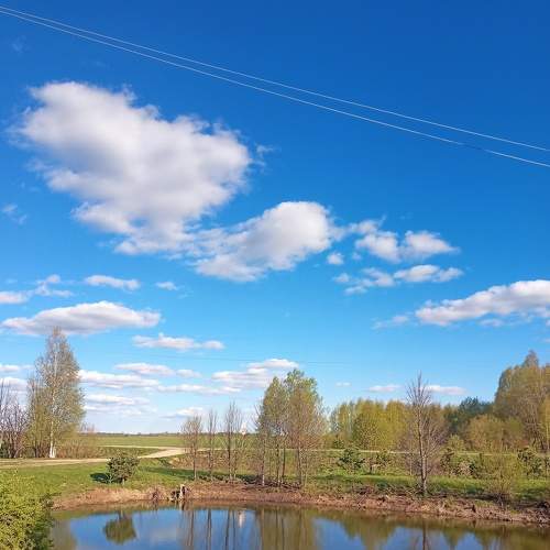 Photo #7720490