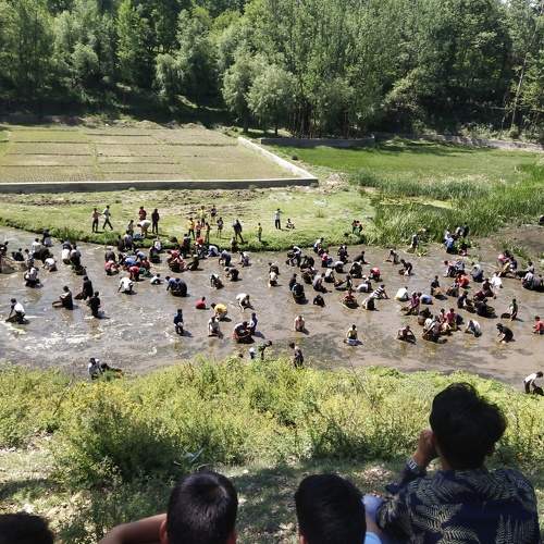 Photo #7720521