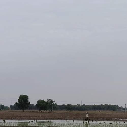 Photo #7720804