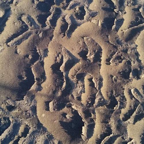 Photo #7720882