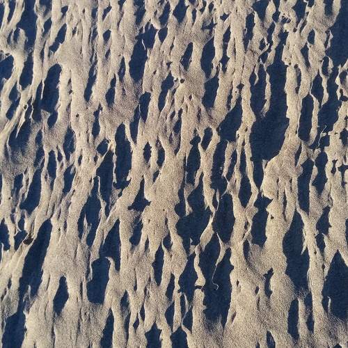 Photo #7720892
